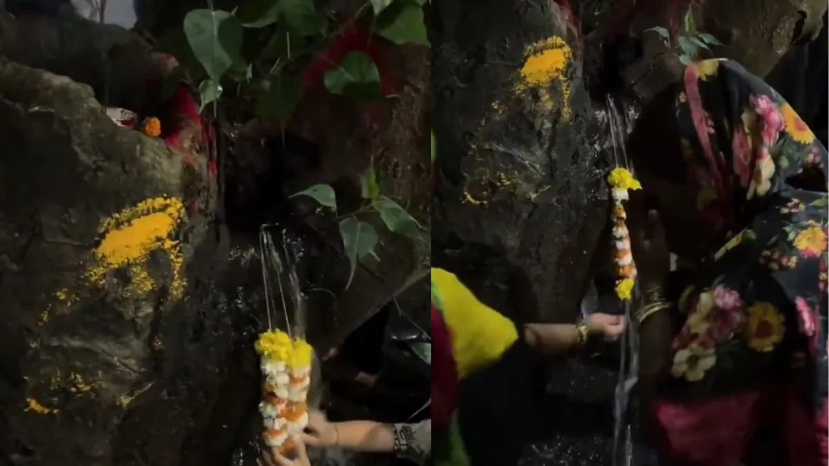 pune-viral-news-locals-offer-prayers-to-tree-dripping-holy-water-pcmc-finds-pipe-leak-watch