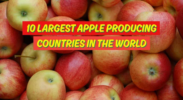 10-largest-apple-producing-countries-india-in-top-5