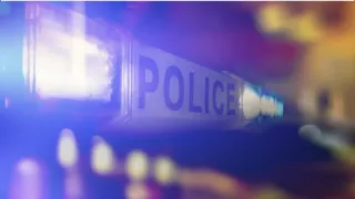 Kerala News: 62-Year-Old Man Beaten Up Over Class 4 Fight In Kasargod, Two Former Classmates Arrested