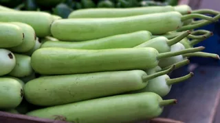 How To Identify Adulterated Bottle Gourd? 4 Easy Tests You Can Do At Home