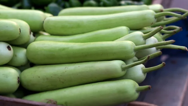 how-to-identify-adulterated-bottle-gourd-4-easy-tests-you-can-do-at-home