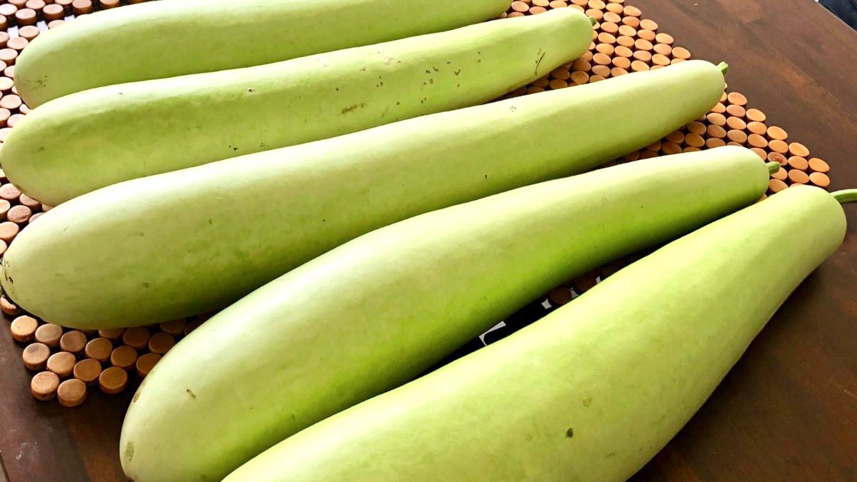 bottle gourd adulteration