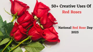 50+ Creative Uses Of Red Roses To Know On National Red Rose Day 2025