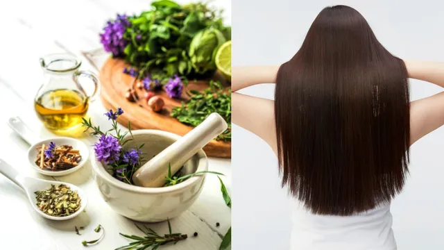 ayurveda-for-haircare-doctor-shares-herbs-and-oils-for-stronger-hair