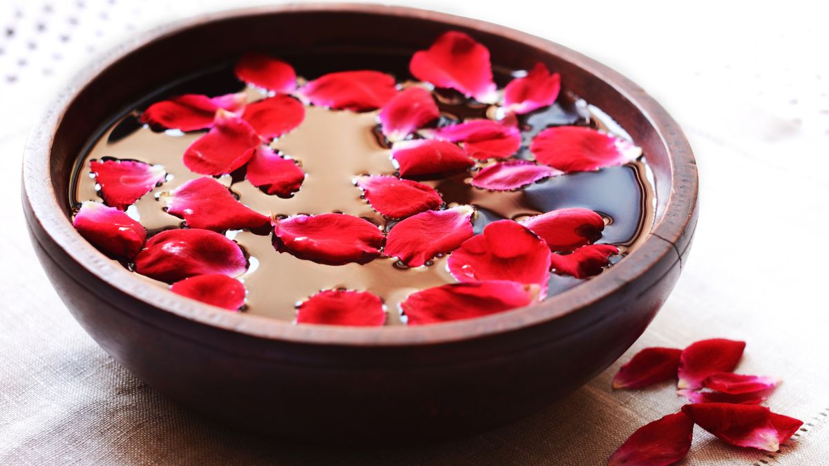 50+ Creative Uses Of Red Roses To Know On National Red Rose Day 2025