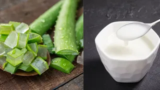 Aloe Vera vs Malai: Which Natural Remedy Works Best For Glowing Skin?