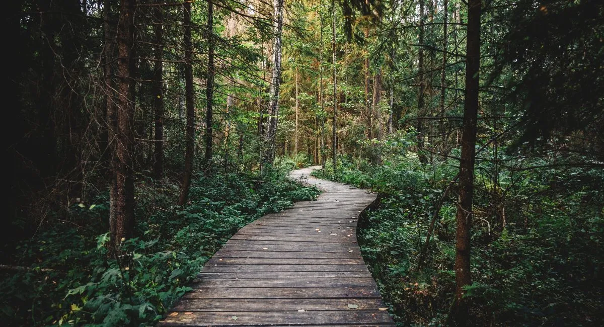 up-govt-to-modernise-forest-police-with-it-ai-tools-for-wildlife-protection-and-forest-management