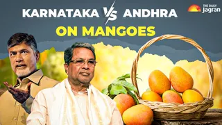 What Is Totapuri Mangoes Row Between Karnataka And Andhra Pradesh?
