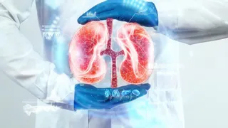 Kidney Care: Doctor Explains The Role Of Robotic Surgery And Prevention Procedures