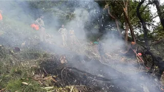 Uttarakhand Helicopter Crash: AAIB To Probe Accident That Killed 7 Near Kedarnath; CM Dhami Holds High-Level Meeting | Updates