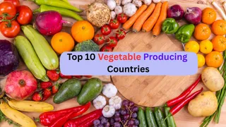 What Are The Top 10 Vegetable-Producing Countries And Their Key Crops?
