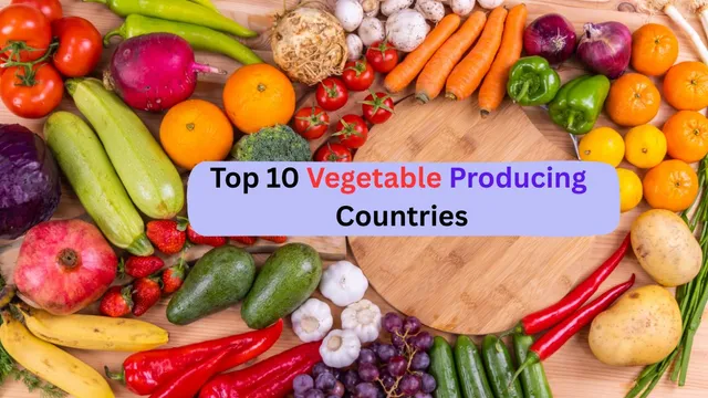 what-are-the-top-vegetable-producing-countries-and-their-key-crops