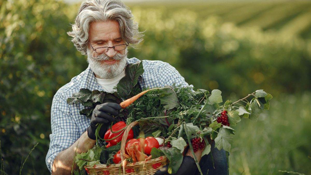 top 10 vegetable producing countries in the world (1)