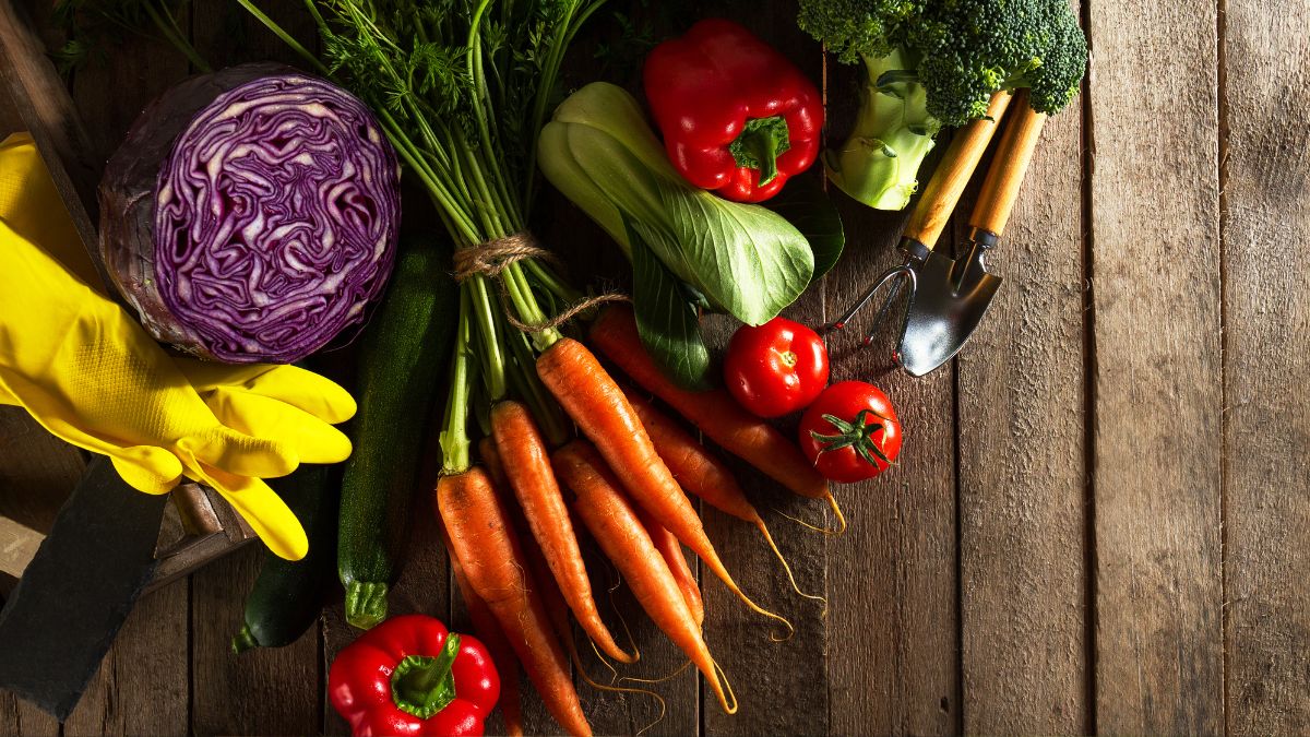 top 10 vegetable producing countries in the world (2)