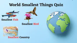 World’s Tiniest Wonders: 50+ Fun Facts Quiz Questions About The Smallest Things On Earth
