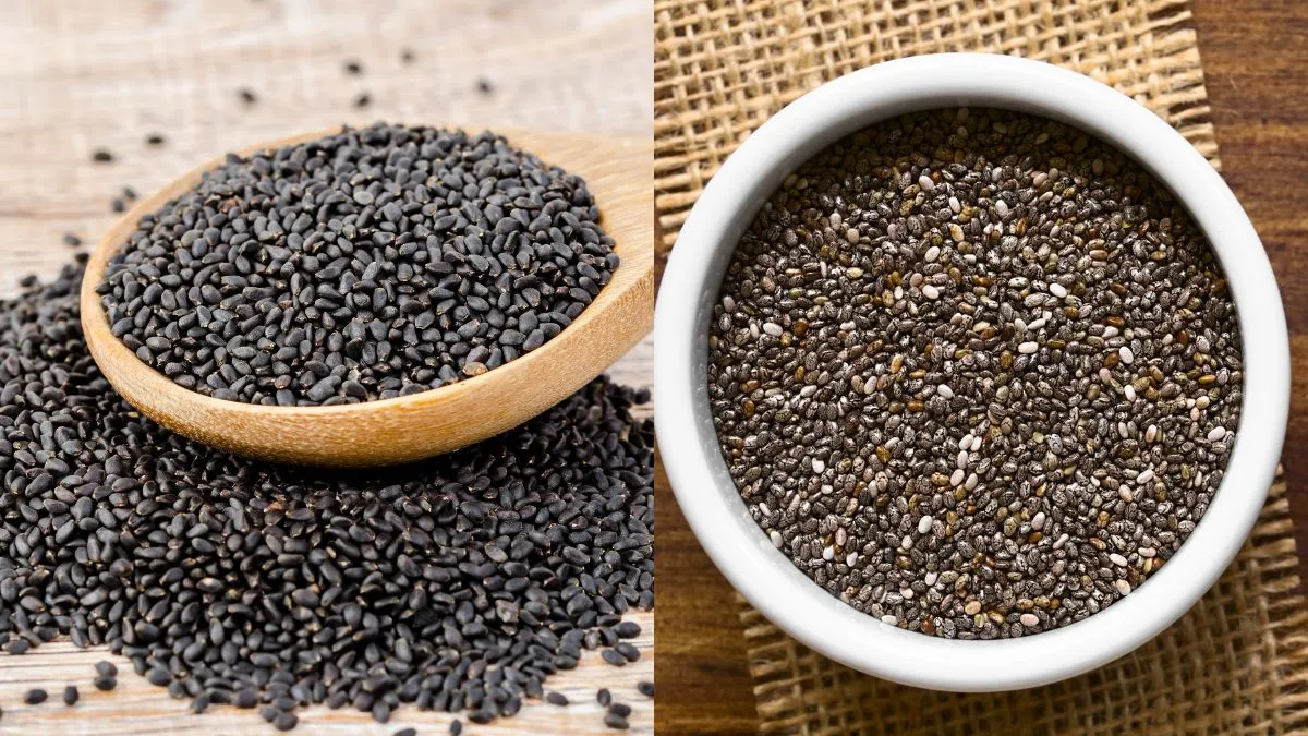 basil-seeds-vs-chia-seeds-which-superfood-should-you-choose-for-quick-weight-loss