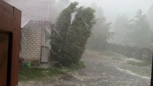 bengal-weather-heavy-rain-thunderstorms-likely-in-kolkata-today-imd-issues-alert-check-forecast