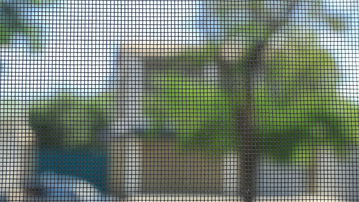 tips to stay safe from mosquito borne diseases