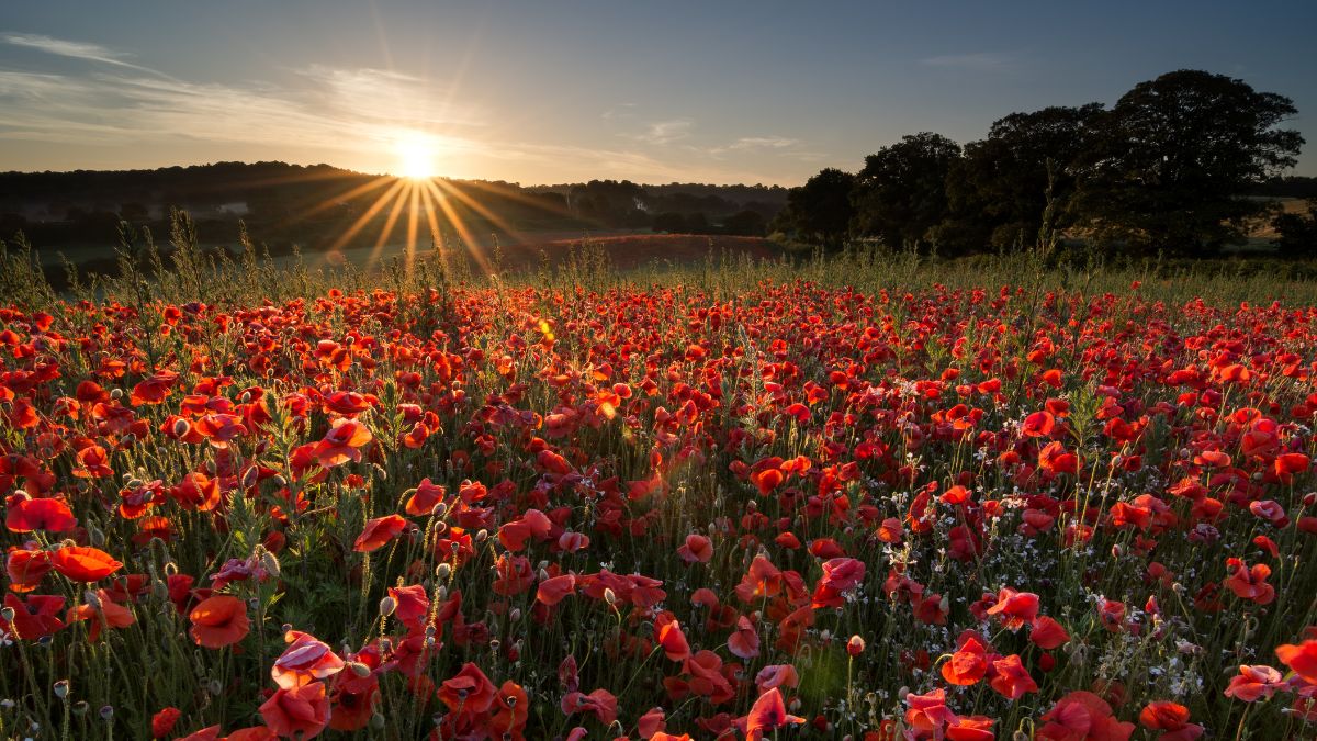 which day is longest day in year 2025 know about summer soltice (2)