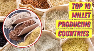 Which Country Is The Largest Producer Of Millets In The World?