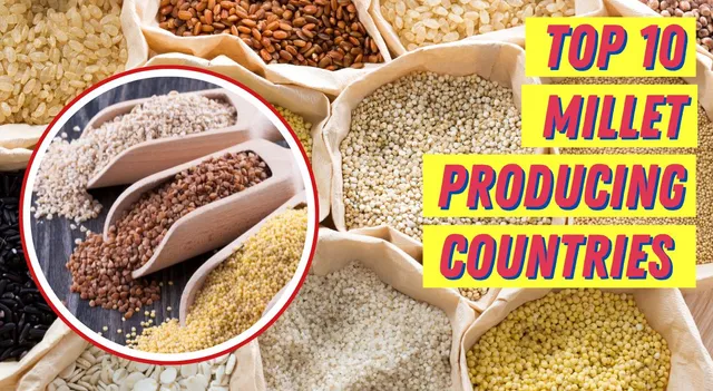 which-country-is-the-largest-producer-of-millets-in-the-world