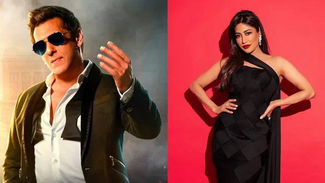 salman-khan-and-chitrangda-singh-join-hands-for-upcoming-movie-based-on-galwan-valley-conflict