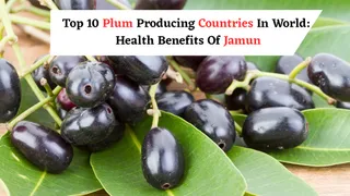 Top 10 Plum-Producing Countries In The World: What Are The Health Benefits Of Indian Plum Jamun