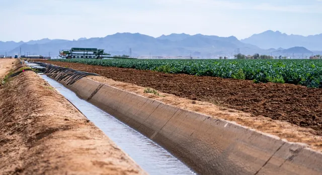 bihar-news-western-kosi-canal-project-approved-in-madhubani-irrigation-to-cover-2-91-lakh-hectares