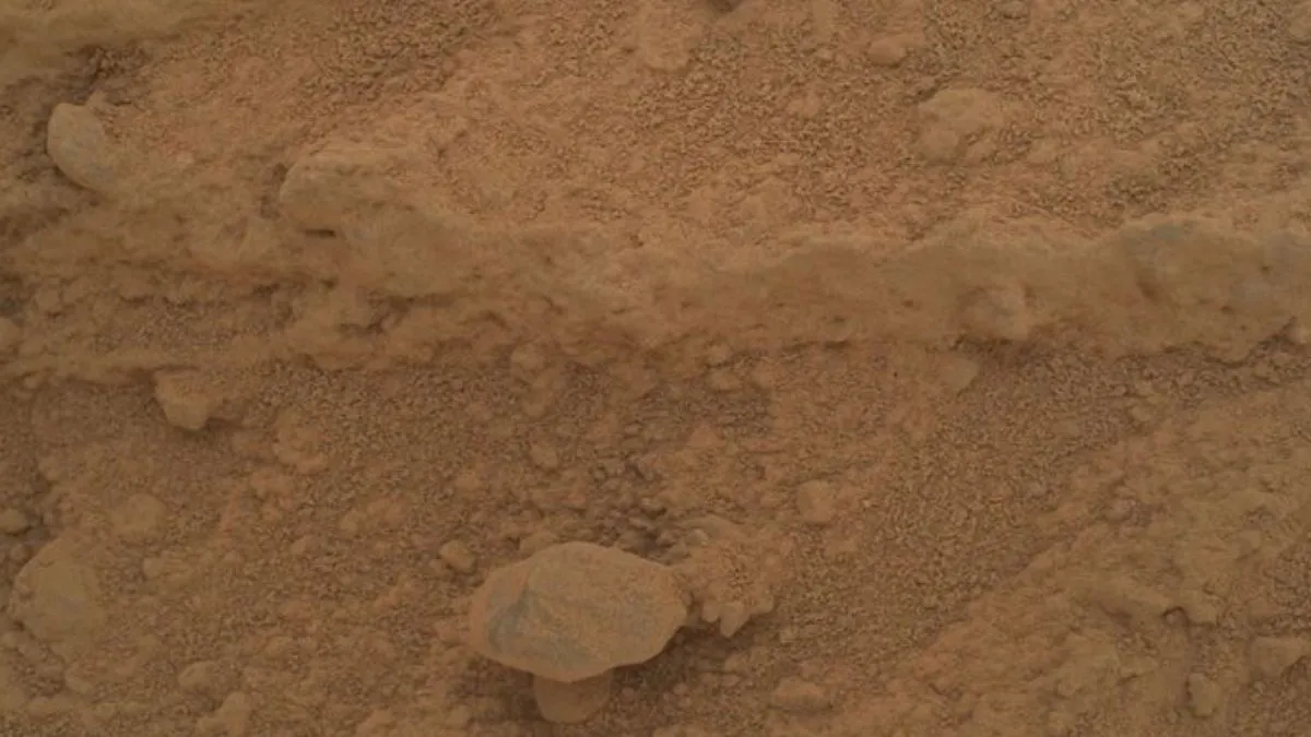 mushroom-on-mars-old-nasa-image-resurfaces-sparks-fresh-debate-on-possibility-of-life