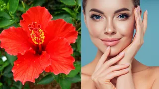 What Are The 5 Flowers From The Garden That Can Transform Your Beauty?