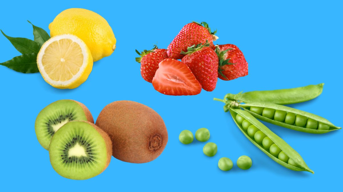 guess the fruit quiz games for kids (2)