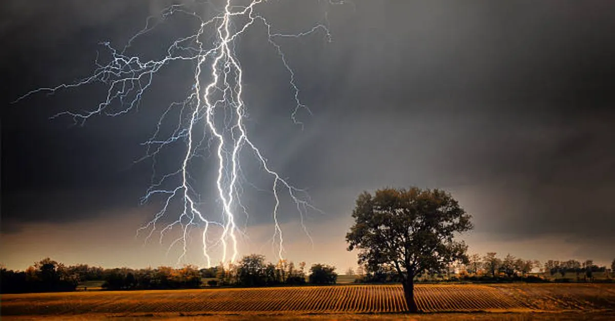 up-monsoon-fury-3-killed-in-lightning-strikes-across-state-7-sustain-burn-injuries