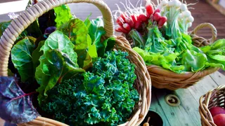 How To Keep Your Leafy Greens Fresh For A Week?