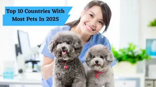 Top 10 Countries With Most Pets In 2025: Japan Now Officially Has More Pets Than Children