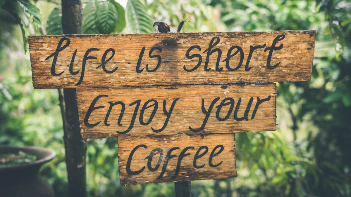 50+ Funny Quotes And Punch Liners That Will Instantly Make You Laugh