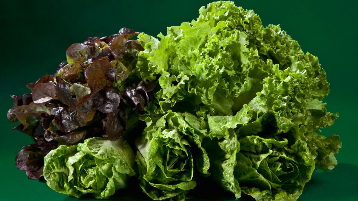 how-to-keep-your-leafy-greens-fresh-for-a-week