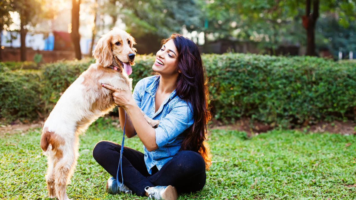 top 10 countries with most pets in 2025 (1)
