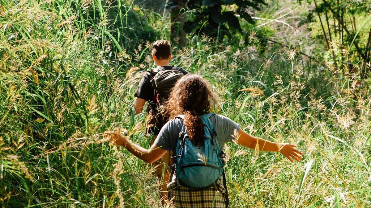 what-is-land-snorkelling-what-is-this-travel-trend-of-2025-that-everybody-is-doing