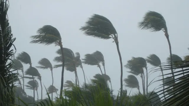 bengal-weather-heavy-rain-thunderstorms-to-hit-kolkata-six-other-southern-districts-forecast