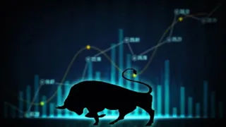 Sensex Climbs 1,000 Points, Nifty Gains 304; Check What Led Upward Trend In Indian Stock Markets