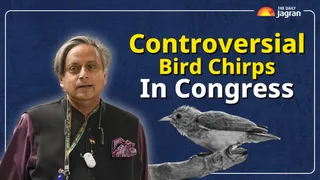 Congress MP's Retort To Shashi Tharoor's Cryptic X Post After Kharge's Jibe: 'Even A Free Bird Must...'