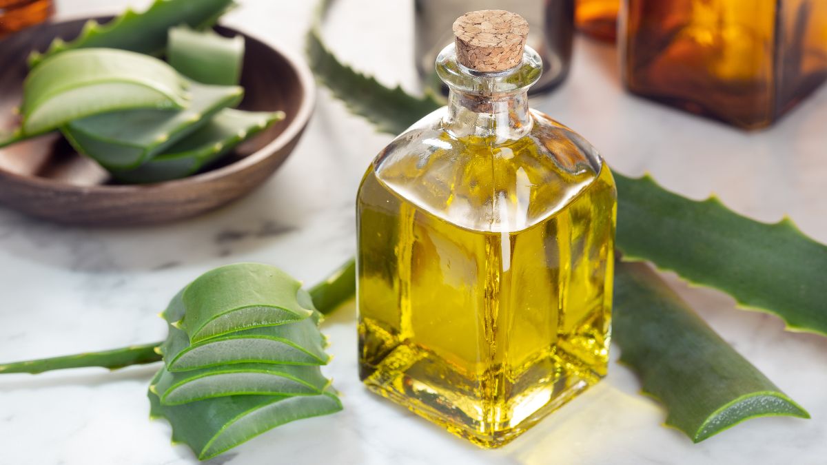 Homemade Aloe Vera Oil For Hair Growth