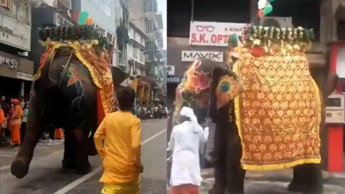 ahmedabad-rath-yatra-2025-elephants-lose-control-run-video-injured-casualties-forest-department-latest-updates