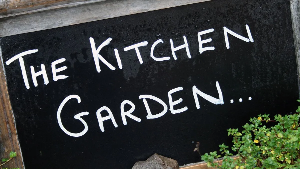 why-is-monsoon-the-ideal-time-to-plant-your-kitchen-garden