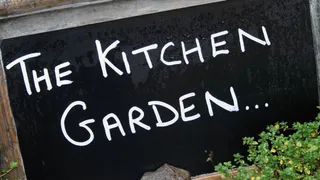 Why Is Monsoon The Ideal Time To Plant Your Kitchen Garden?