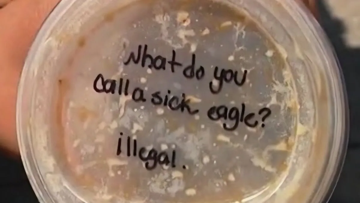 sick-eagle-is-called-illegal-starbucks-faces-backlash-after-texas-baristas-joke-sparks-racism-allegations