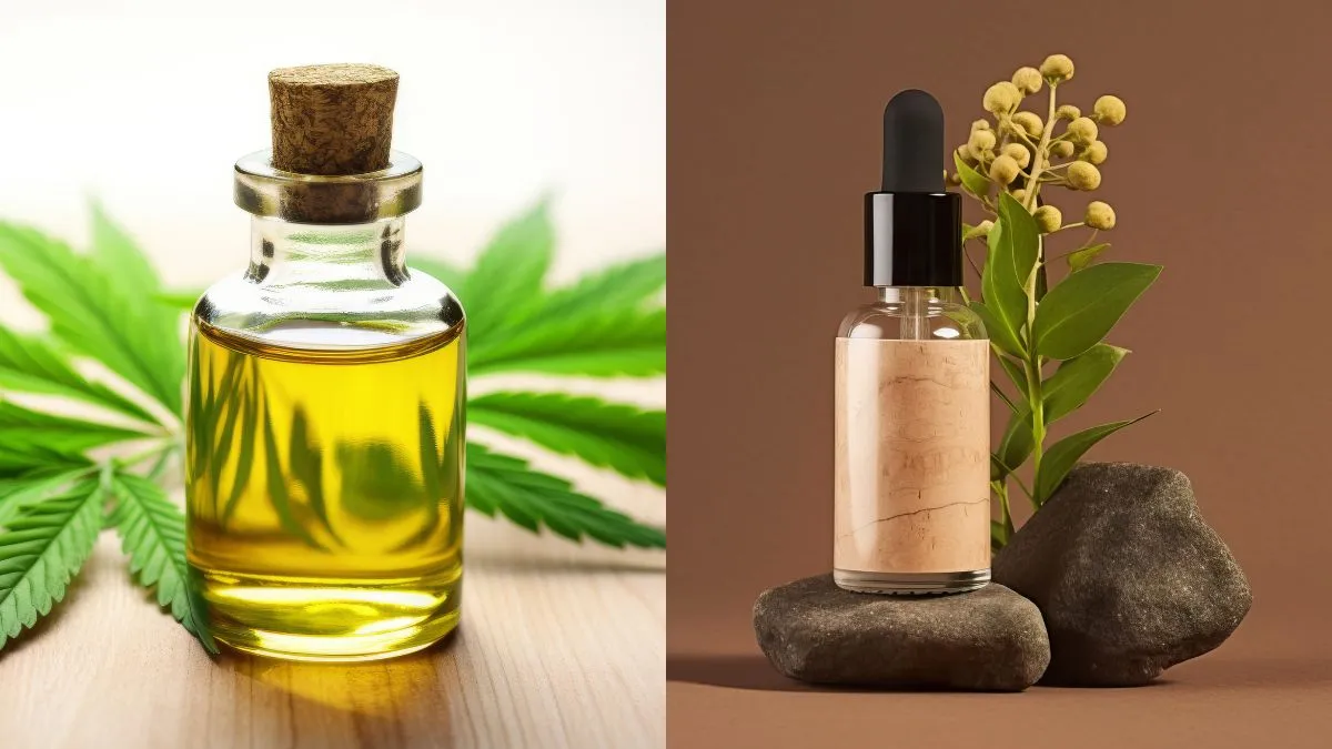 hair-oil-vs-hair-serum-how-to-choose-the-right-one-for-your-hair-type