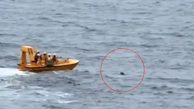 heroic-father-saves-daughter-after-fall-from-disney-cruise-ship-kept-afloat-for-nearly-20-minutes