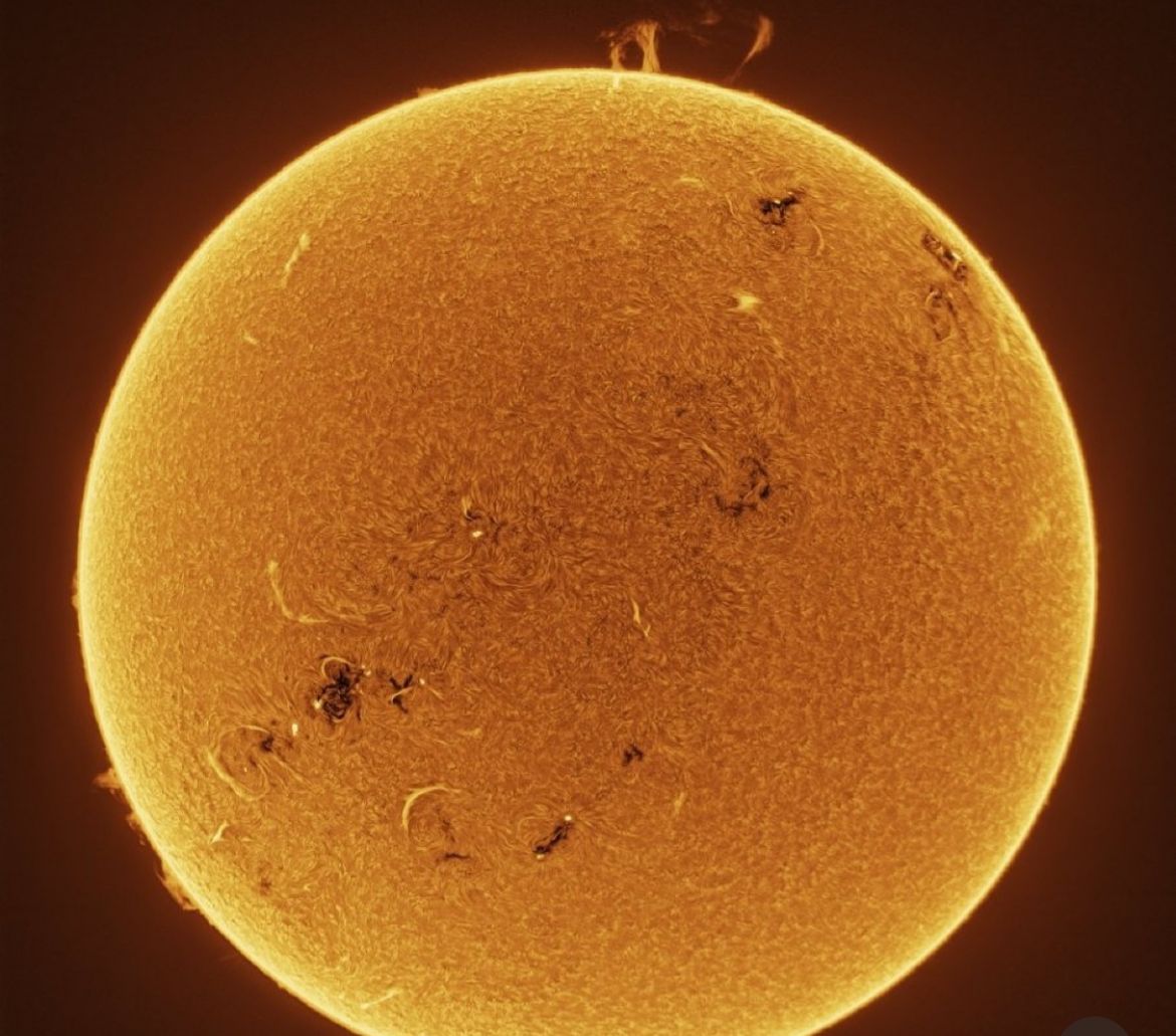 WhatsApp Image 2025-07-01 at 3.37.40 PM