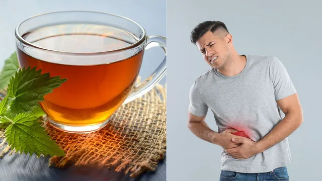 can-drinking-ayurvedic-tea-help-reverse-fatty-liver-find-out